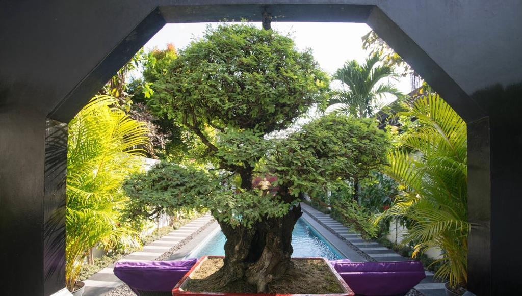 Bonsai Villas Seminyak Rum bild
